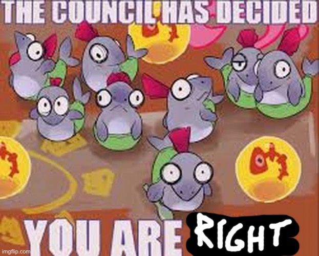 the council | image tagged in the council | made w/ Imgflip meme maker