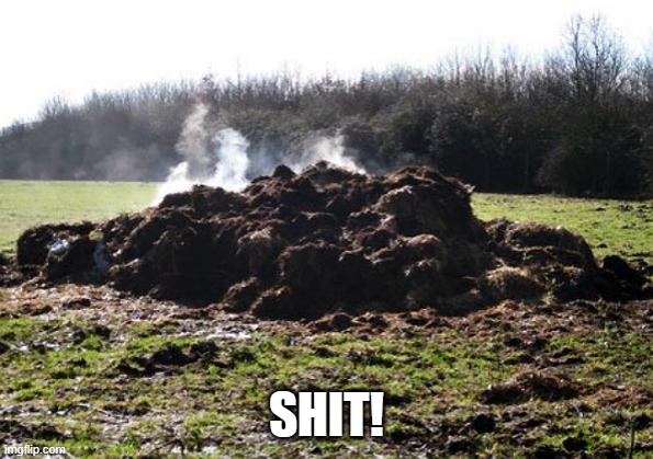 Steaming pile of shit | SHIT! | image tagged in steaming pile of shit | made w/ Imgflip meme maker