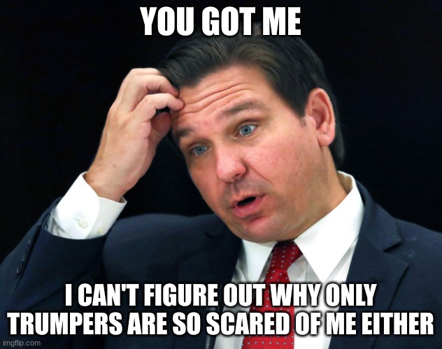 Ron DeSantis searching for his brain | YOU GOT ME; I CAN'T FIGURE OUT WHY ONLY TRUMPERS ARE SO SCARED OF ME EITHER | image tagged in ron desantis searching for his brain | made w/ Imgflip meme maker