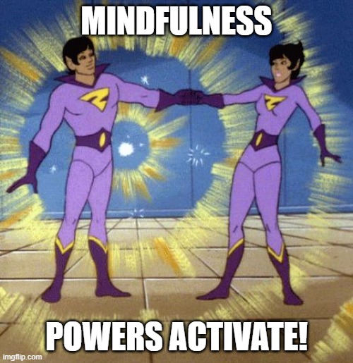 Wonder Twins | MINDFULNESS; POWERS ACTIVATE! | image tagged in wonder twins | made w/ Imgflip meme maker