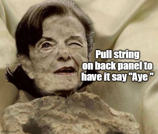 Pull string on back panel to have it say "Aye " | made w/ Imgflip meme maker