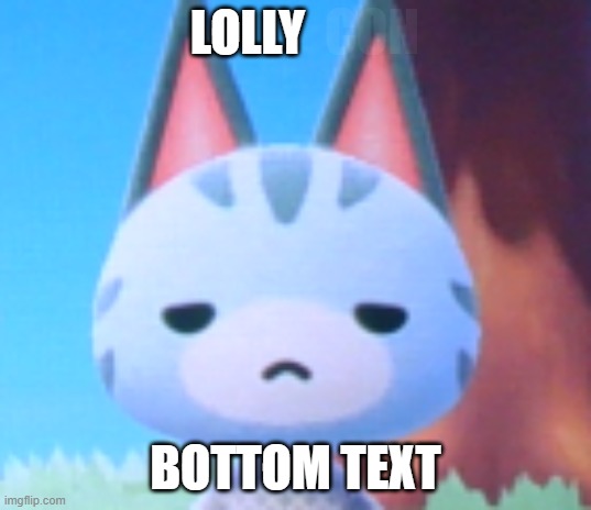 lolly | CON; LOLLY; BOTTOM TEXT | image tagged in does it look like i care - lolly acnh | made w/ Imgflip meme maker