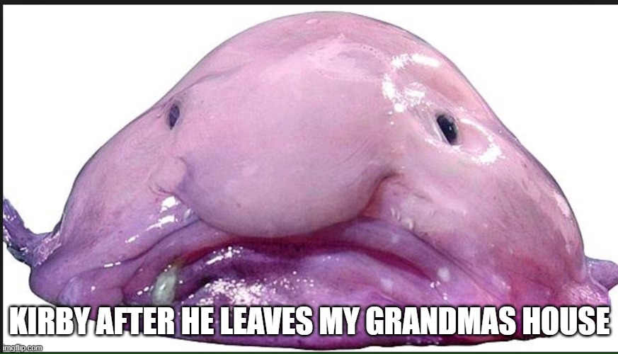 Kirby | KIRBY AFTER HE LEAVES MY GRANDMAS HOUSE | image tagged in fat kid | made w/ Imgflip meme maker