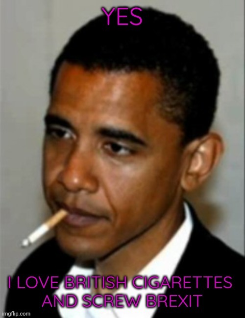 He likes it | image tagged in obama | made w/ Imgflip meme maker