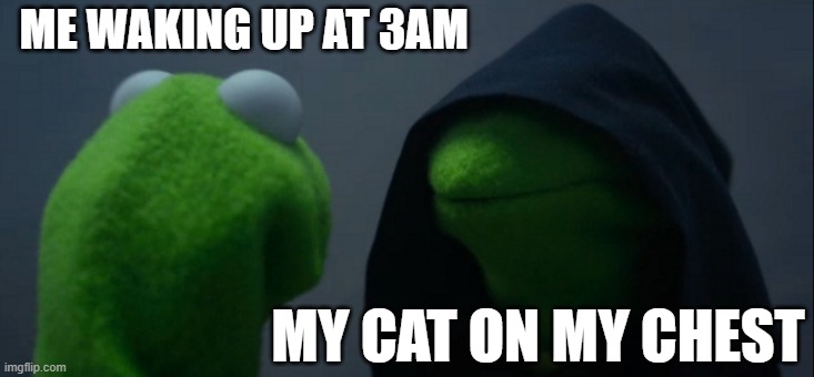 Evil Kermit Meme | ME WAKING UP AT 3AM; MY CAT ON MY CHEST | image tagged in memes,evil kermit | made w/ Imgflip meme maker
