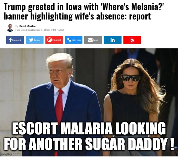 escort | ESCORT MALARIA LOOKING FOR ANOTHER SUGAR DADDY ! | image tagged in melanoma | made w/ Imgflip meme maker