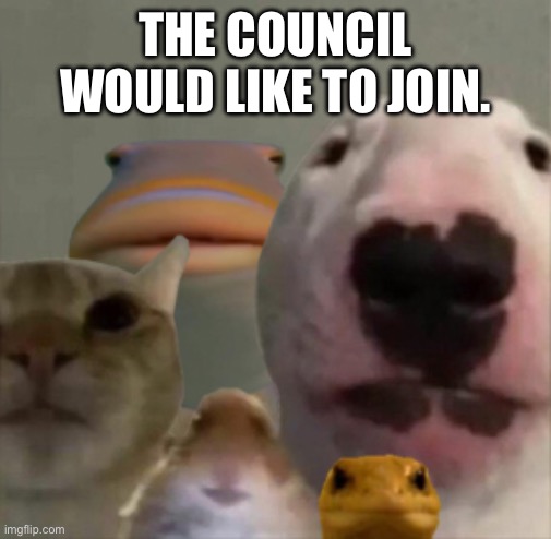 Will they? | THE COUNCIL WOULD LIKE TO JOIN. | image tagged in the council | made w/ Imgflip meme maker