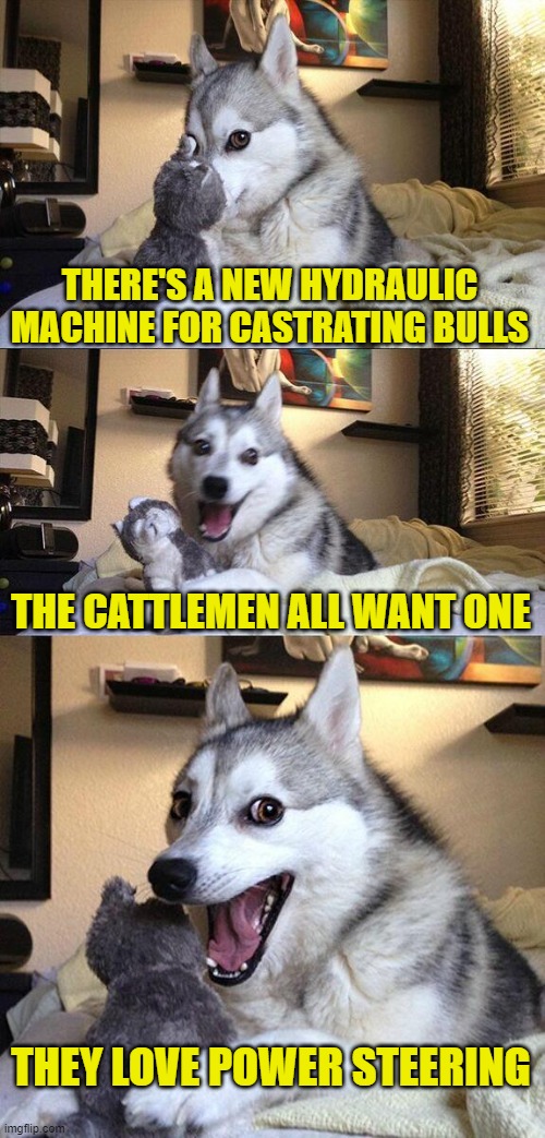 Bad Pun Dog | THERE'S A NEW HYDRAULIC MACHINE FOR CASTRATING BULLS; THE CATTLEMEN ALL WANT ONE; THEY LOVE POWER STEERING | image tagged in memes,bad pun dog | made w/ Imgflip meme maker