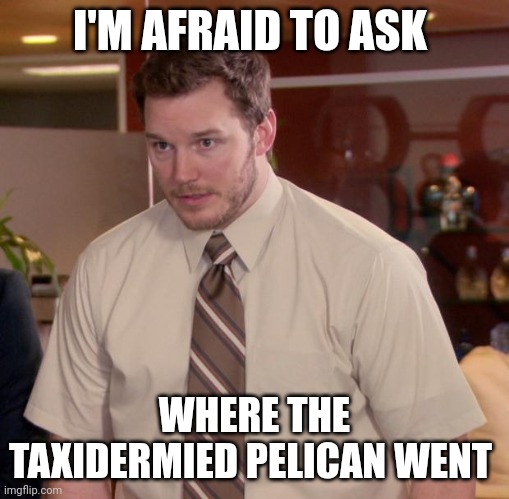 Where'd the taxidermied pelican go?!?!?? | I'M AFRAID TO ASK; WHERE THE TAXIDERMIED PELICAN WENT | image tagged in memes,afraid to ask andy | made w/ Imgflip meme maker