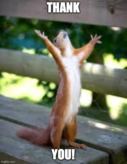 Praise Squirrel | THANK YOU! | image tagged in praise squirrel | made w/ Imgflip meme maker