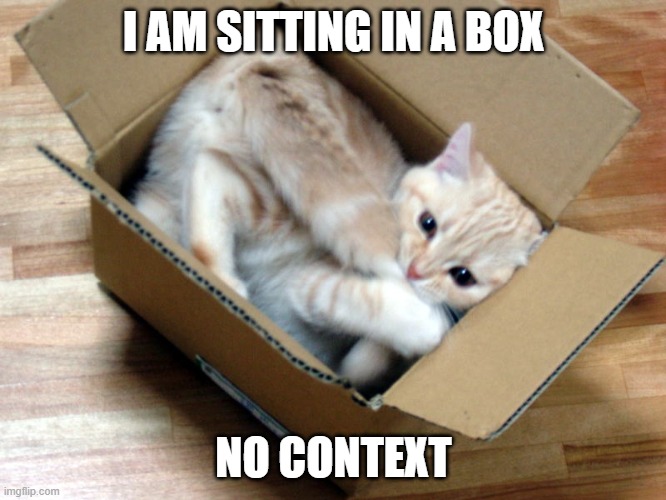 I saw box. I got box. I sit in box | I AM SITTING IN A BOX; NO CONTEXT | image tagged in cat in a box | made w/ Imgflip meme maker
