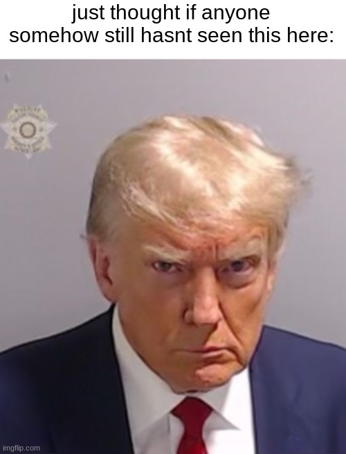 i didnt know what to do | just thought if anyone somehow still hasnt seen this here: | image tagged in donald trump mugshot | made w/ Imgflip meme maker