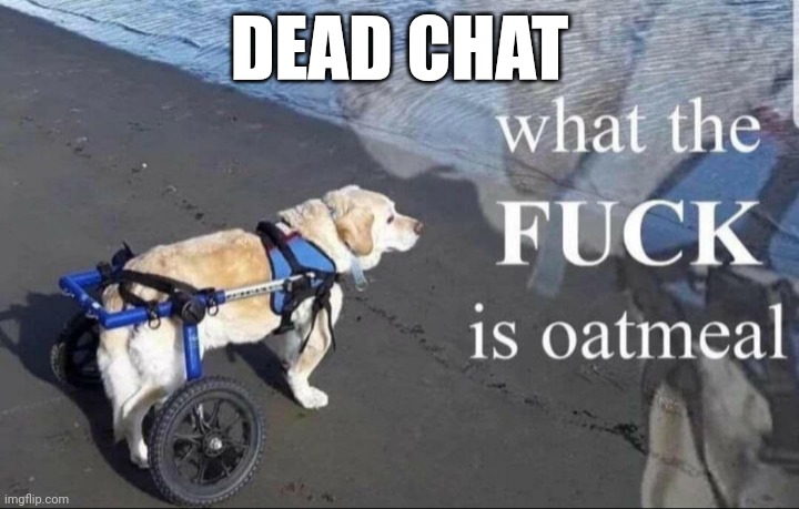 What the f**k is oatmeal | DEAD CHAT | image tagged in what the f k is oatmeal | made w/ Imgflip meme maker