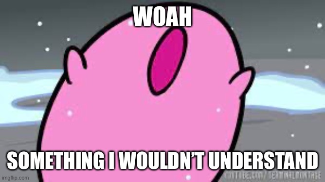 Kirby’s POYO | WOAH SOMETHING I WOULDN’T UNDERSTAND | image tagged in kirby s poyo | made w/ Imgflip meme maker
