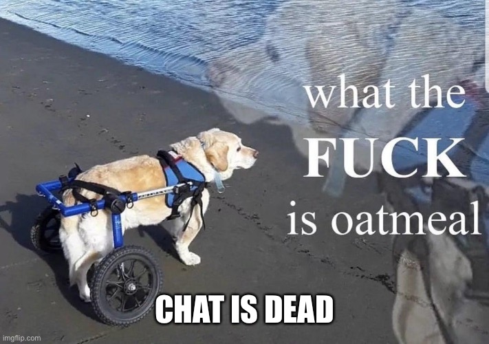 What the f**k is oatmeal | CHAT IS DEAD | image tagged in what the f k is oatmeal | made w/ Imgflip meme maker