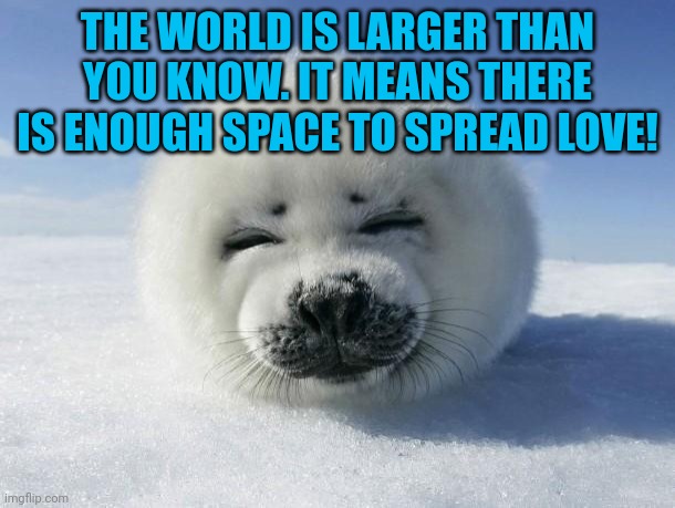 Seal Of Approval | THE WORLD IS LARGER THAN YOU KNOW. IT MEANS THERE IS ENOUGH SPACE TO SPREAD LOVE! | image tagged in seal of approval | made w/ Imgflip meme maker