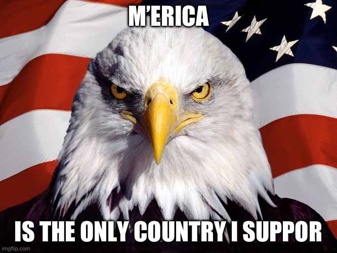 Freedom Eagle | M’ERICA IS THE ONLY COUNTRY I SUPPORT | image tagged in freedom eagle | made w/ Imgflip meme maker