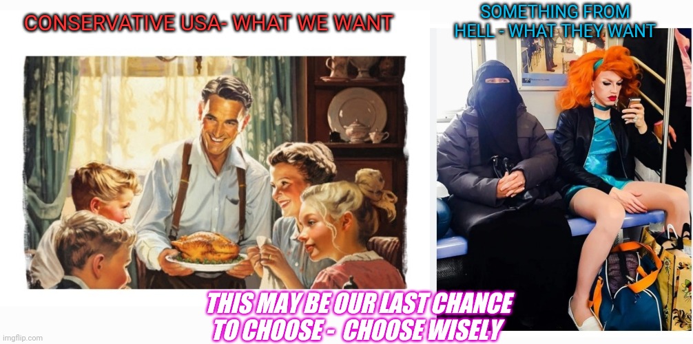 Americans Choose Conservatism | SOMETHING FROM HELL - WHAT THEY WANT; CONSERVATIVE USA- WHAT WE WANT; THIS MAY BE OUR LAST CHANCE TO CHOOSE -  CHOOSE WISELY | image tagged in libtards,finished,vote,republican,president trump,always has been | made w/ Imgflip meme maker