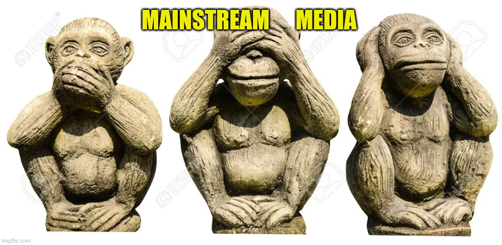 3 monkeys blind deaf and mute | MAINSTREAM      MEDIA | image tagged in 3 monkeys blind deaf and mute | made w/ Imgflip meme maker
