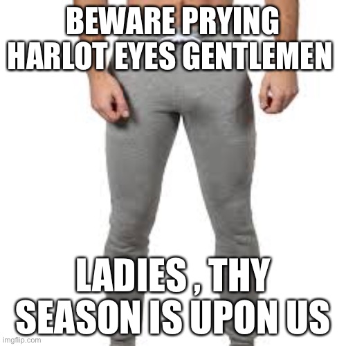 BEWARE PRYING HARLOT EYES GENTLEMEN; LADIES , THY SEASON IS UPON US | image tagged in sweatpants | made w/ Imgflip meme maker