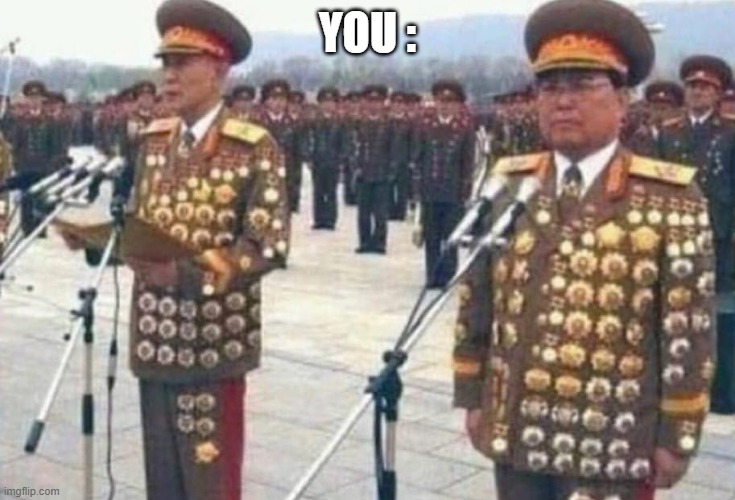 North korean medals | YOU : | image tagged in north korean medals | made w/ Imgflip meme maker