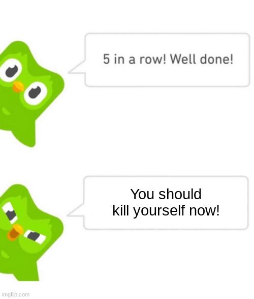 Duolingo 5 in a row | You should kill yourself now! | image tagged in duolingo 5 in a row,you should kill yourself now | made w/ Imgflip meme maker