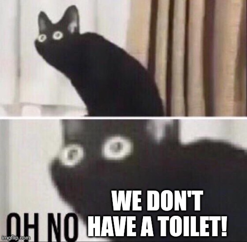 Oh no cat | WE DON'T HAVE A TOILET! | image tagged in oh no cat | made w/ Imgflip meme maker
