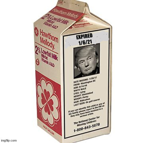Sour milk | EXPIRED 1/6/21 | image tagged in donald trump,loser,big lie,coup de ta,felon,liar | made w/ Imgflip meme maker