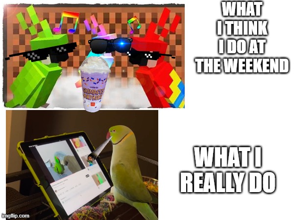 Weekend | WHAT I THINK I DO AT THE WEEKEND; WHAT I REALLY DO | image tagged in weekend,meme | made w/ Imgflip meme maker