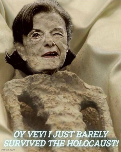IT WAS JUST LIKE ANNUDA SHOAH | OY VEY! I JUST BARELY SURVIVED THE HOLOCAUST! | image tagged in that look's about right,dianne feinstein | made w/ Imgflip meme maker