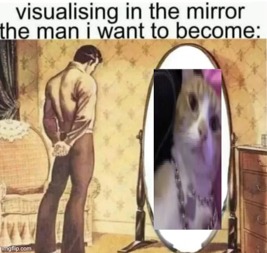E | image tagged in visualising in the mirror the man i want to become | made w/ Imgflip meme maker