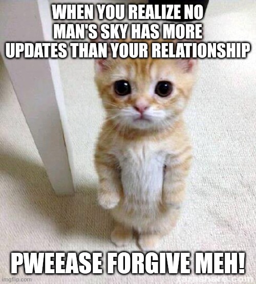 Take me backkkkk | WHEN YOU REALIZE NO MAN'S SKY HAS MORE UPDATES THAN YOUR RELATIONSHIP; PWEEASE FORGIVE MEH! | image tagged in memes,cute cat | made w/ Imgflip meme maker