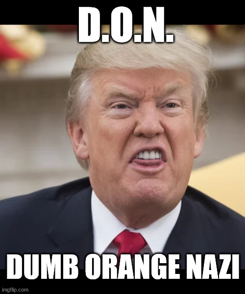 Truth in acronyms | D.O.N. DUMB ORANGE NAZI | image tagged in trump silly stupid idiot lips suck jpp | made w/ Imgflip meme maker