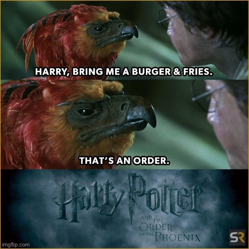 Harry Potter | image tagged in order,phoenix | made w/ Imgflip meme maker