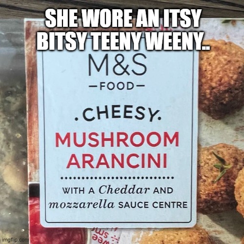 Cheesy | SHE WORE AN ITSY BITSY TEENY WEENY.. | image tagged in funny | made w/ Imgflip meme maker