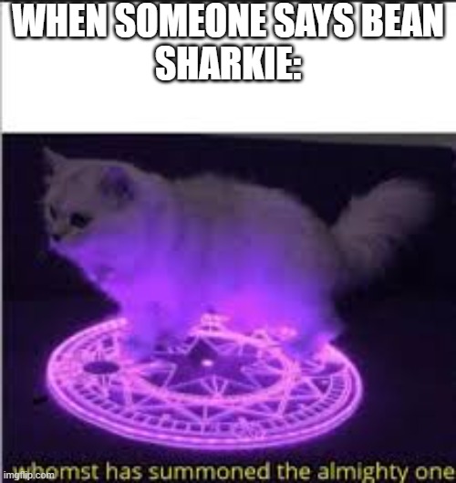 Whomst has Summoned the almighty one | WHEN SOMEONE SAYS BEAN
SHARKIE: | image tagged in whomst has summoned the almighty one | made w/ Imgflip meme maker