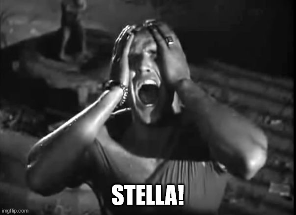 Marlon Brando Stella | STELLA! | image tagged in marlon brando stella | made w/ Imgflip meme maker