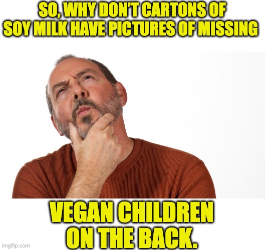 Hmm | SO, WHY DON’T CARTONS OF SOY MILK HAVE PICTURES OF MISSING; VEGAN CHILDREN ON THE BACK. | image tagged in hmmm | made w/ Imgflip meme maker
