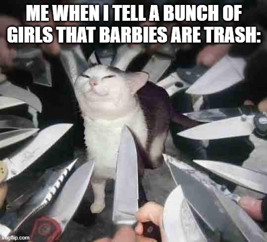 "wHaT dId yOu SaY?" | ME WHEN I TELL A BUNCH OF GIRLS THAT BARBIES ARE TRASH: | image tagged in knife cat | made w/ Imgflip meme maker