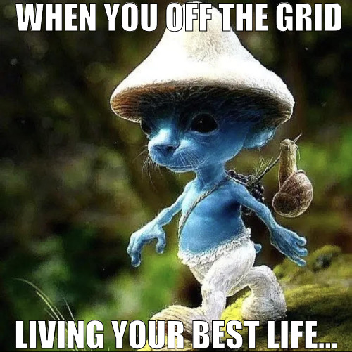 TAKE A LOOK AHEAD! | WHEN YOU OFF THE GRID; LIVING YOUR BEST LIFE... | image tagged in blue smurf cat,meme | made w/ Imgflip meme maker
