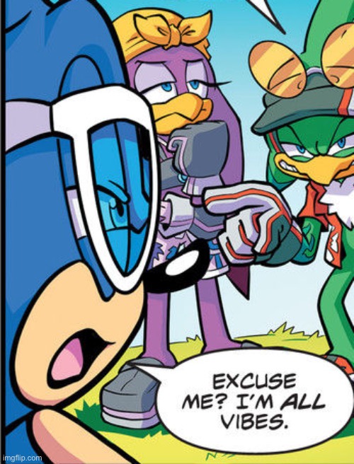 sonic excuse me im all vibes | image tagged in sonic excuse me im all vibes | made w/ Imgflip meme maker