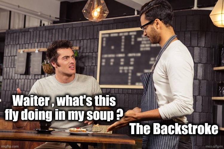 Waiter , what's this fly doing in my soup ? The Backstroke | made w/ Imgflip meme maker