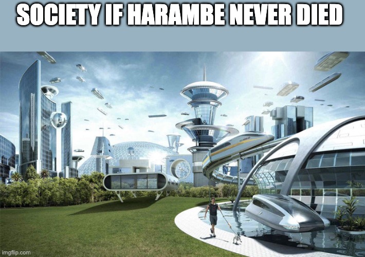 The World If... | SOCIETY IF HARAMBE NEVER DIED | image tagged in the world if | made w/ Imgflip meme maker
