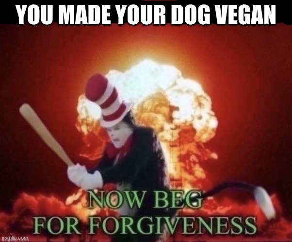 Beg for forgiveness | YOU MADE YOUR DOG VEGAN | image tagged in beg for forgiveness | made w/ Imgflip meme maker