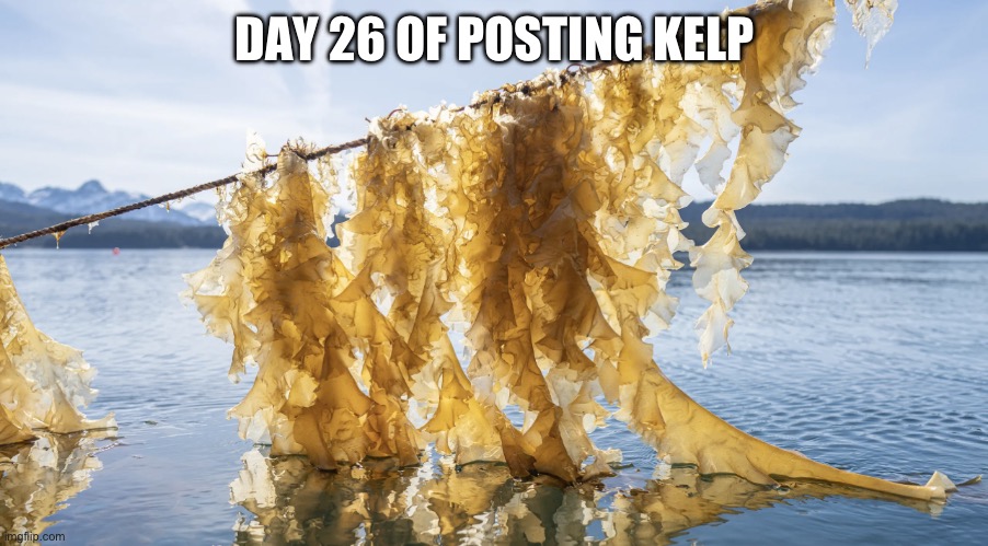 Kelp | DAY 26 OF POSTING KELP | image tagged in kelp | made w/ Imgflip meme maker