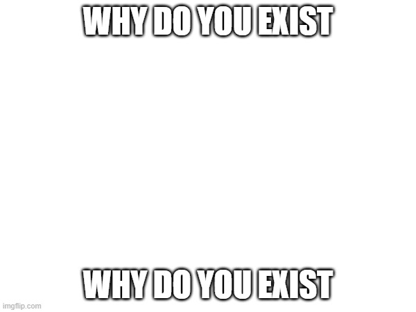 WHY DO YOU EXIST; WHY DO YOU EXIST | made w/ Imgflip meme maker