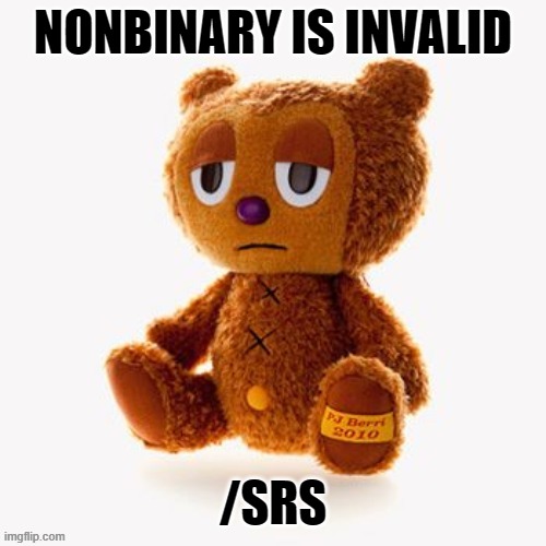 Pj plush | NONBINARY IS INVALID; /SRS | image tagged in pj plush | made w/ Imgflip meme maker