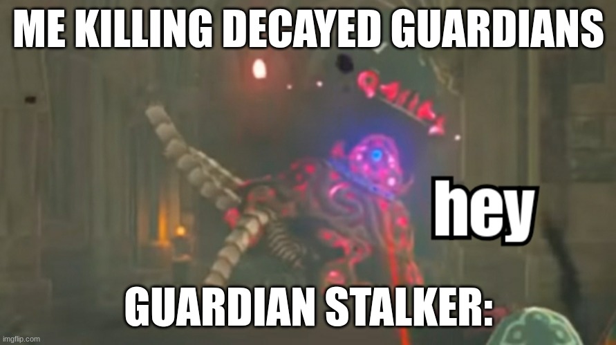 the murder machine | ME KILLING DECAYED GUARDIANS; GUARDIAN STALKER: | image tagged in guardian hey,so you have chosen death | made w/ Imgflip meme maker