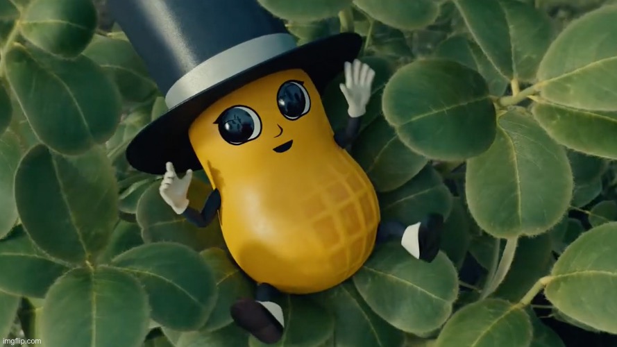 Baby Mr Peanut | image tagged in baby mr peanut | made w/ Imgflip meme maker