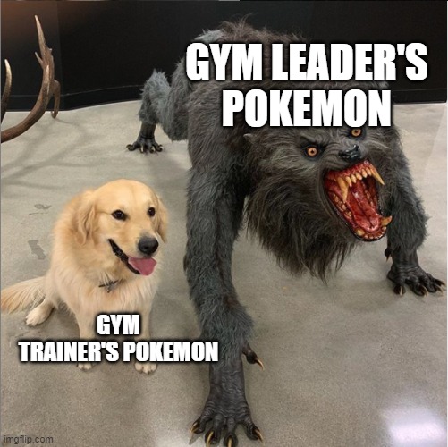 dog vs werewolf | GYM LEADER'S POKEMON; GYM TRAINER'S POKEMON | image tagged in dog vs werewolf | made w/ Imgflip meme maker